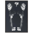 457200f3-874e-49d9-86f2-1a68c7d193f6