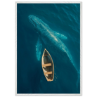 aeb97b36-aed3-451e-b695-753408d040f3