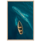 c972d19d-8621-4b42-a9f6-9694e6a44650